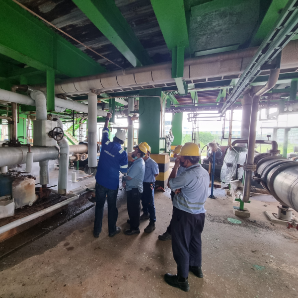 Survey - Steam &amp; Condensate Loop System